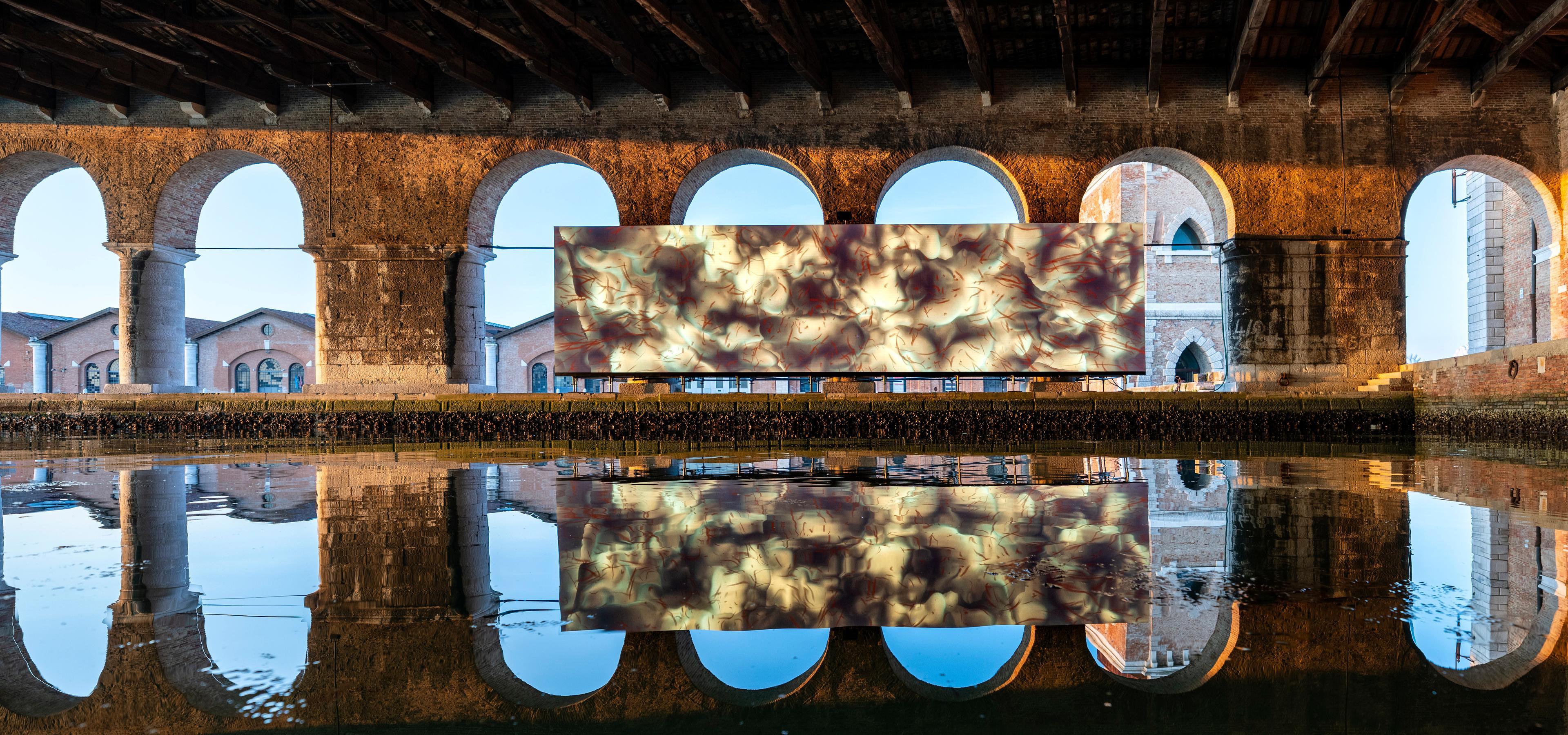 Installation View, Wu Tsang   of Whales, Venice Biennale 2022 Photo Credit Matteo De Fina 03 (1) (1)