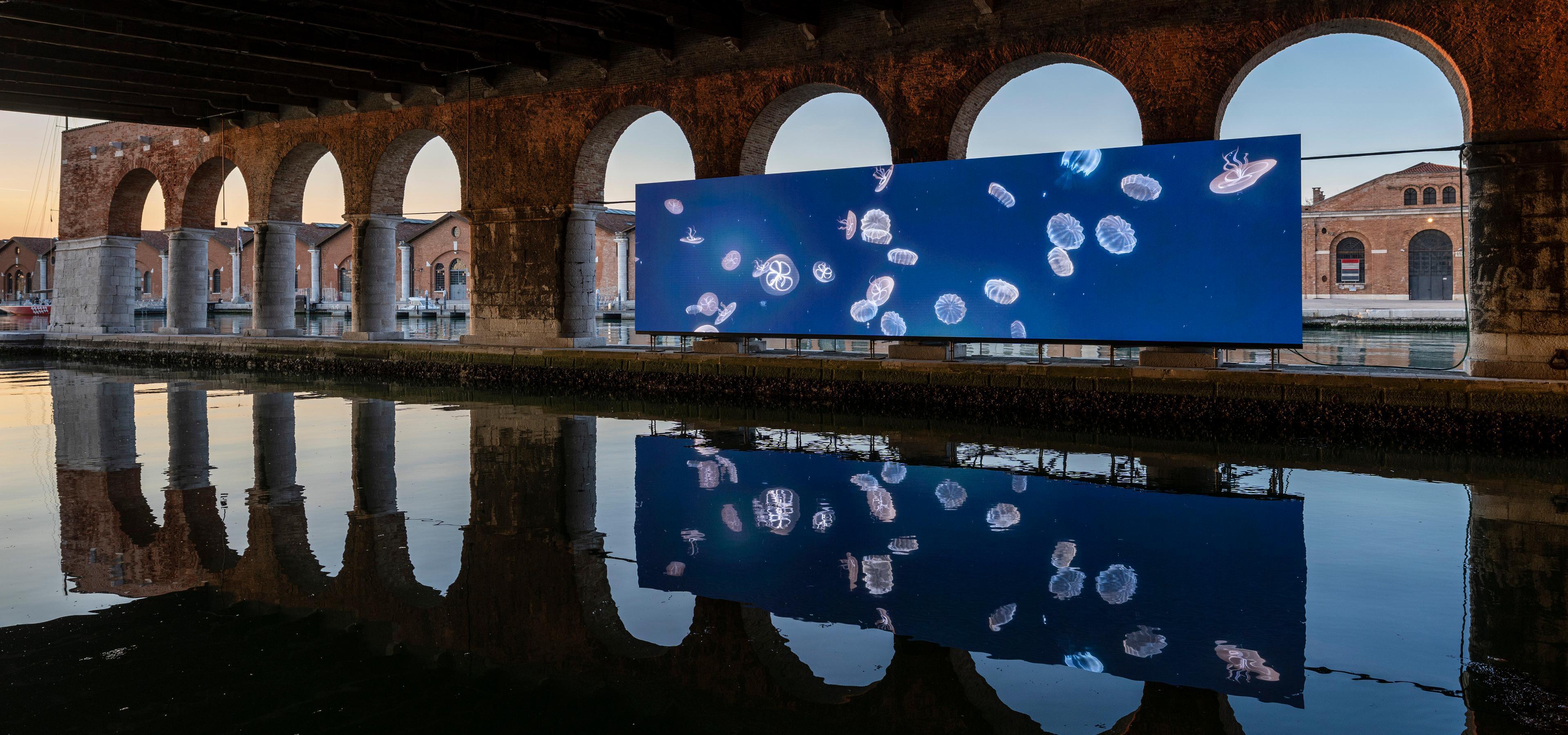 Installation View, Wu Tsang   of Whales, Venice Biennale 2022 Photo Credit Matteo De Fina 04 (2) (1) (1)